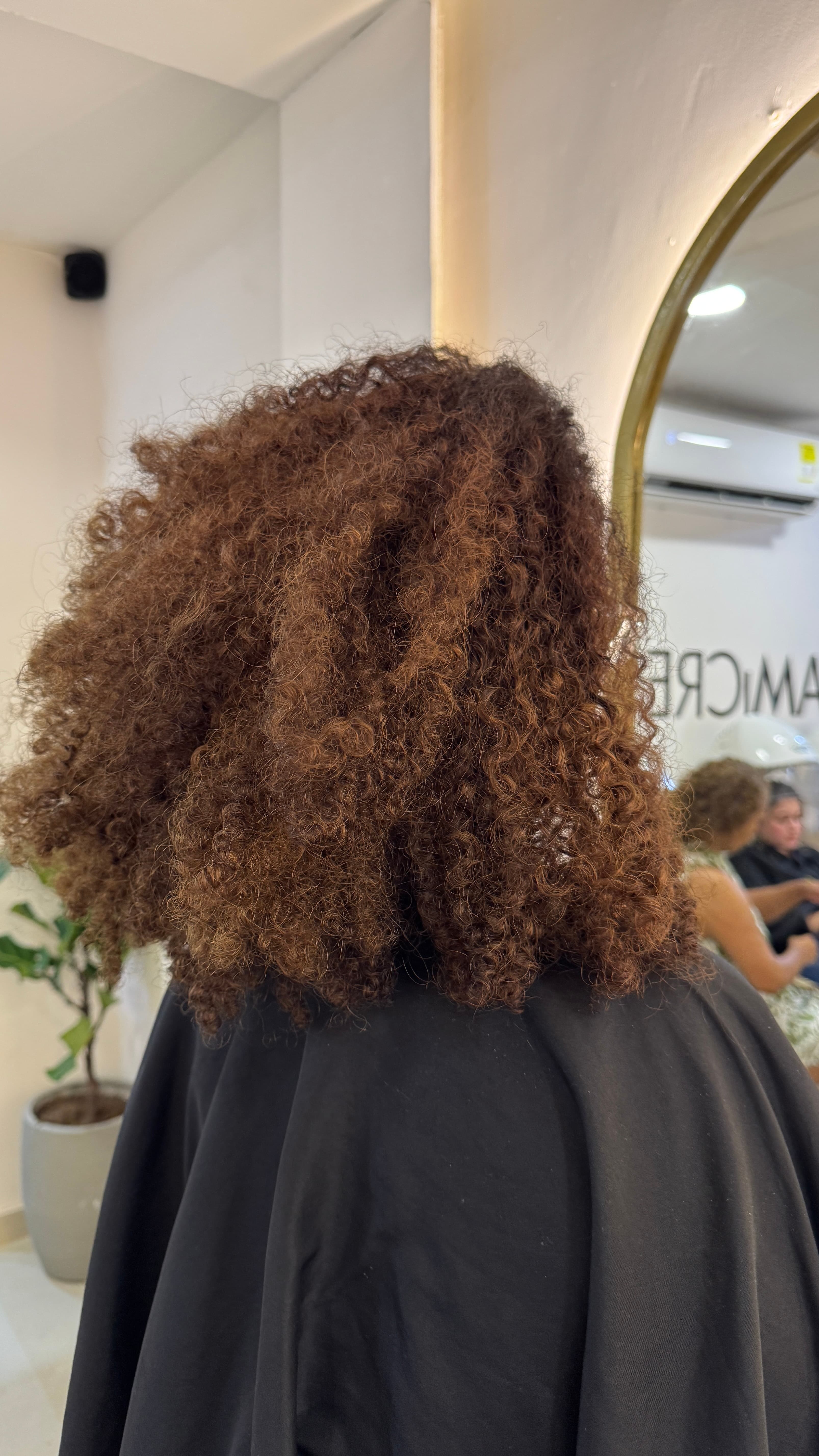 Carrusel del salón · foto 1